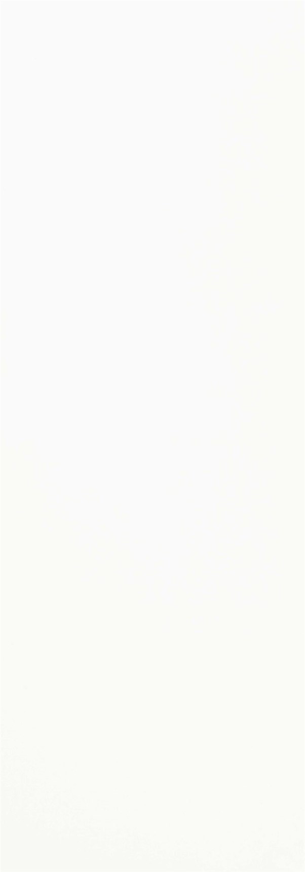 KERAMIČNA PLOŠČICA LIGHT LIGHT BRANCO BRILHO 35x100-do odprodaje