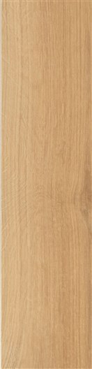 KERAMIČNA PLOŠČICA I ROVERI ROVERE NATURALE 10X40