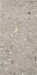 KERAMIČNA PLOŠČICA CEPPO DI GRES GRIGIO RET 60X120