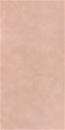 KERAMIČNA PLOŠČICA ALLURE BLOSSOM RET 60X120