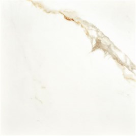 precious_calacatta_gold_60x60_brilho.jpg