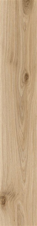 KERAMIČNA PLOŠČICA BARE&BOLD BOLD BEIGE 212BB5 ASR 20X120