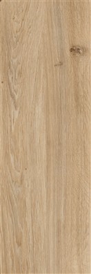 KERAMIČNA PLOŠČICA BARE&BOLD BOLD BEIGE 412BB5 E ASR 40X120 2 CM