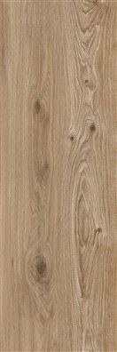 KERAMIČNA PLOŠČICA BARE&BOLD BOLD DARK BEIGE 412BB6 E ASR 40X120 2 CM
