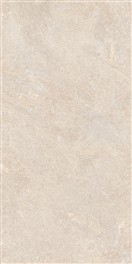 KERAMIČNA PLOŠČICA ECHOSTONE BEIGE NAT.RET 60X120