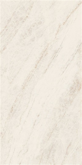 oyster_white_60x120-1.jpg