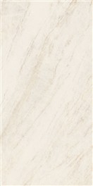 KERAMIČNA PLOŠČICA OYSTER WHITE RET 60X120
