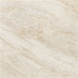 oyster_beige_60x60.jpg