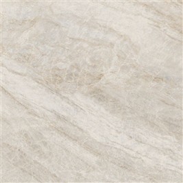 oyster_grey_60x60.jpg