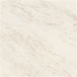 oyster_white_60x60.jpg